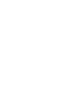 phillips-insurance-logo-reverse-rgb